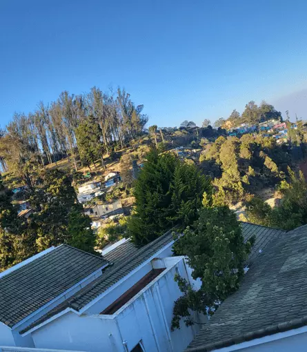 View across cottage rooftops towards a tree-covered hillside