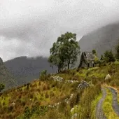 mountain